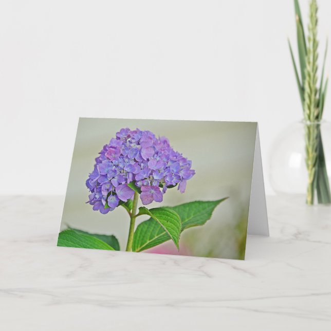 Tarjeta de nota de Hydrangea (Anverso)