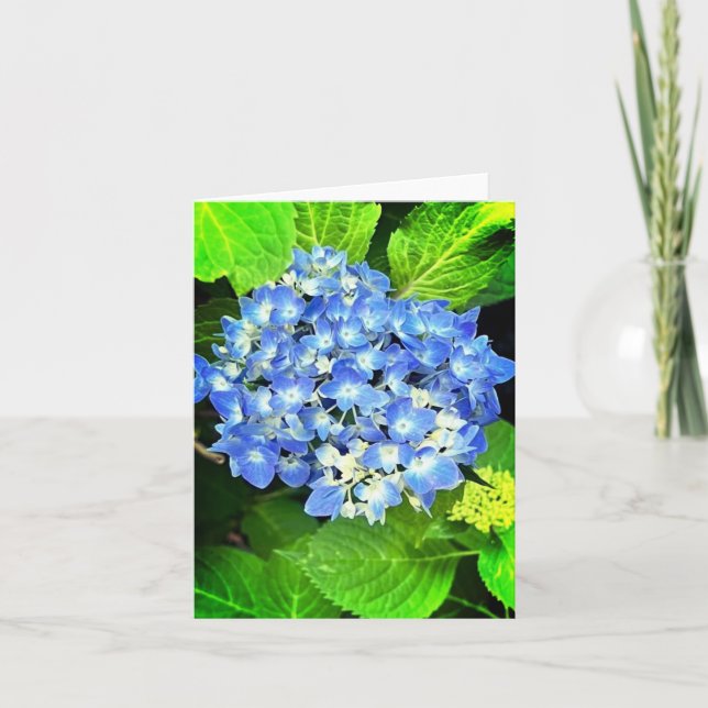 Tarjeta de nota de Hydrangea (Anverso)