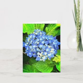Tarjeta de nota de Hydrangea