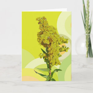 Tarjeta de nota de IBSP Beach Solidago (Goldenrod)