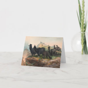 Tarjeta de nota de ilustración de libro de alpacas