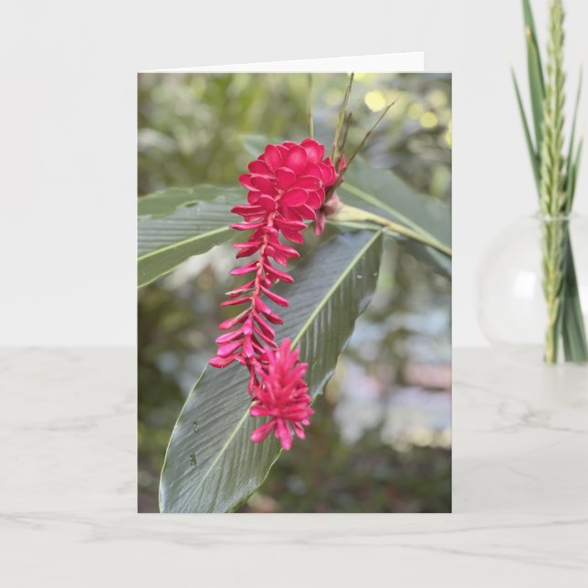 Tarjeta de nota de jengibre rojo<Blank Inside> (Anverso)