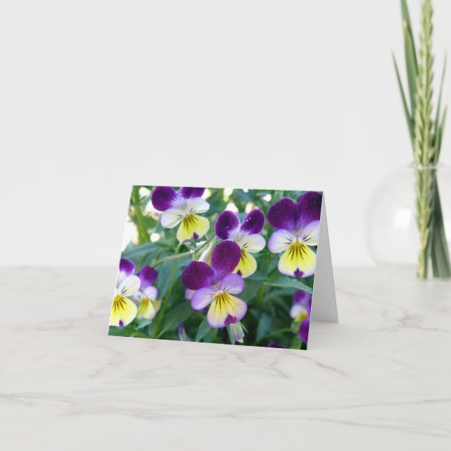 Tarjeta de nota de Johnny Salto-UPS (Anverso)