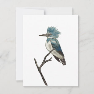 Tarjeta de nota de Kingfisher con correa
