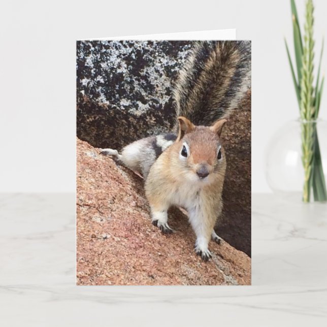 Tarjeta de nota de la ardilla de Tahoe<Blank Insid (Anverso)