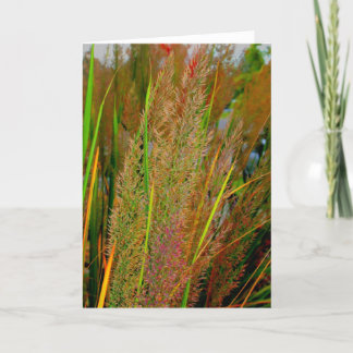 Tarjeta de nota de la colección de la caída