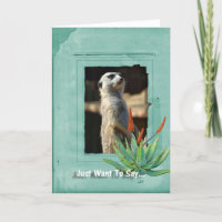 Tarjeta de nota de la colección de Meerkat