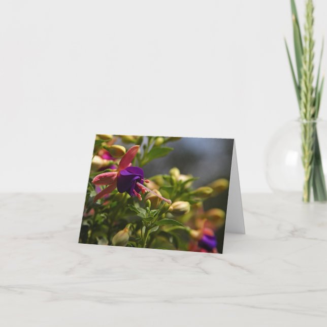 tarjeta de nota de la flor de los fuschias (Anverso)