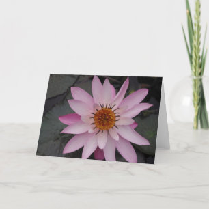 Tarjeta de nota de la flor de Lotus