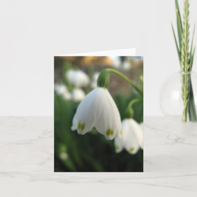 Tarjeta de nota de la flor del descenso de la (Anverso)