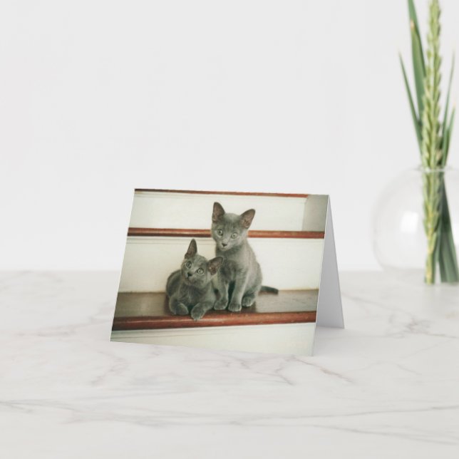 Tarjeta de nota de la inocencia (Anverso)