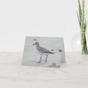 Tarjeta de nota de la lavandera