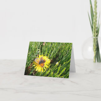Tarjeta de nota de la mariposa del cobre americano