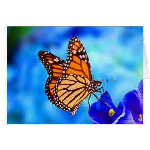 Tarjeta de nota de la mariposa monarca