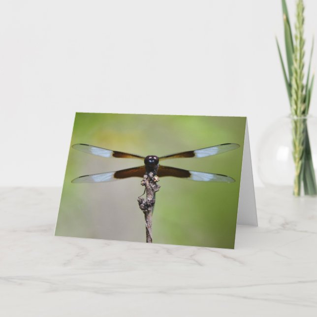 Tarjeta de nota de la naturaleza de cierre de la l (Anverso)