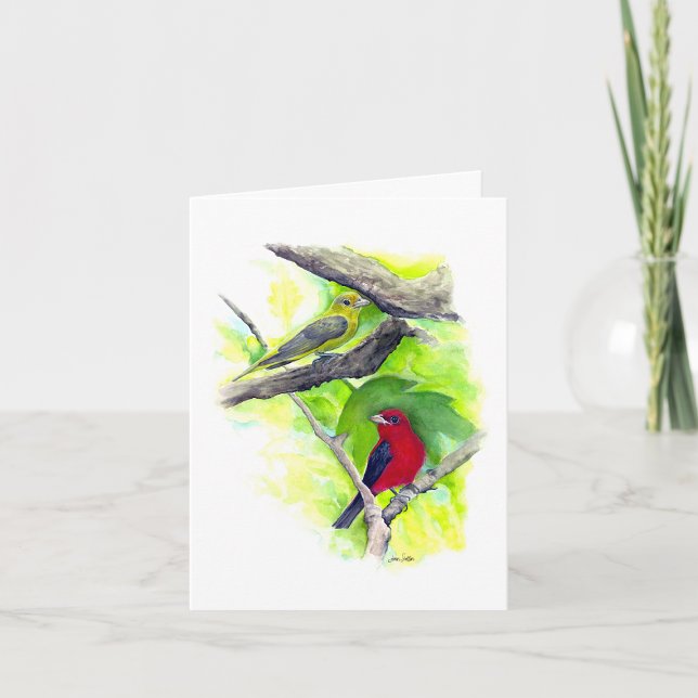 Tarjeta de nota de la pareja Scarlet Tanager (Scarlet Tanager Couple Blank Note Cards from Jenn Steffen Art)