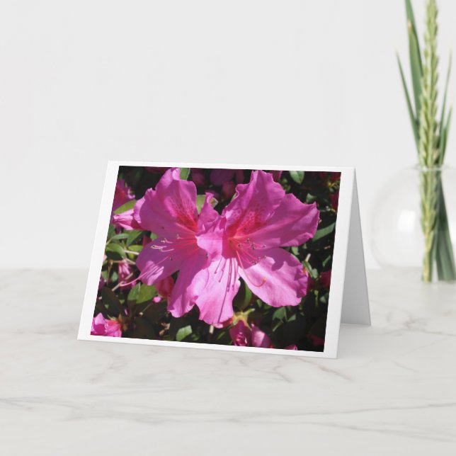 Tarjeta de nota de la primavera (Anverso)