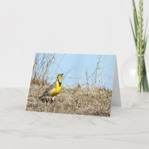 Tarjeta de nota de larvas de Western Meadow
