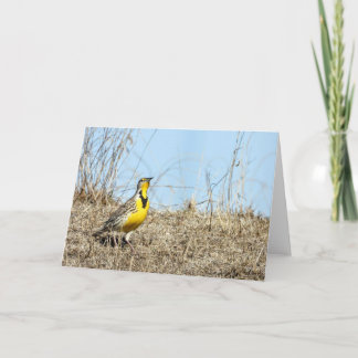 Tarjeta de nota de larvas de Western Meadow
