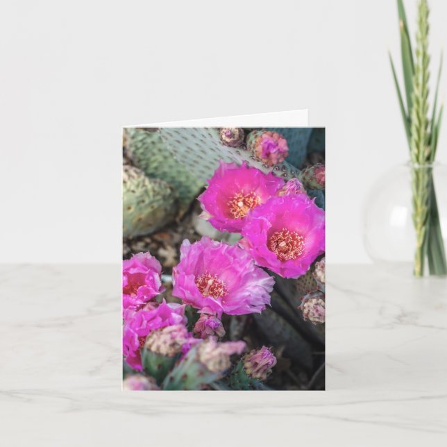 Tarjeta de nota de las flores de Fuchsia Cactus (Anverso)