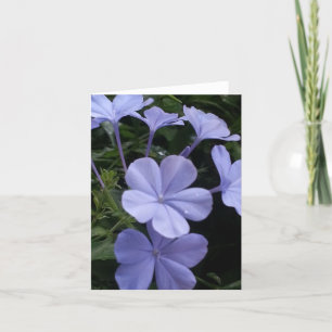 Tarjeta de nota de las flores moradas