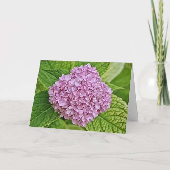 Tarjeta de nota de lavado de púrpura Hydrangea Puf (Anverso)
