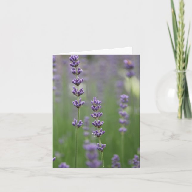 Tarjeta de nota de lavanda delgada (Anverso)
