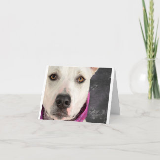 Tarjeta de nota de LDDR