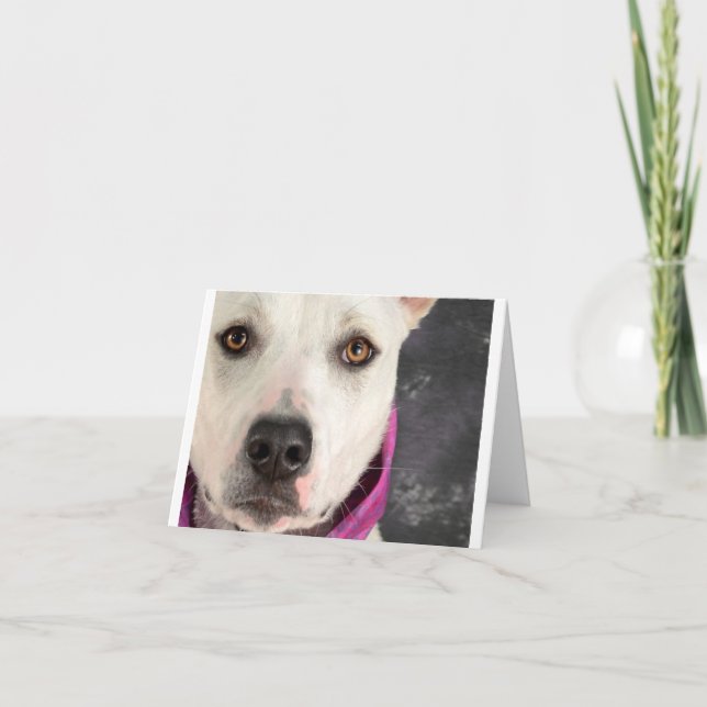 Tarjeta de nota de LDDR (Anverso)