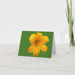Tarjeta de nota de Lily Day