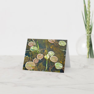 Tarjeta de nota de Lily Pads de Springtime