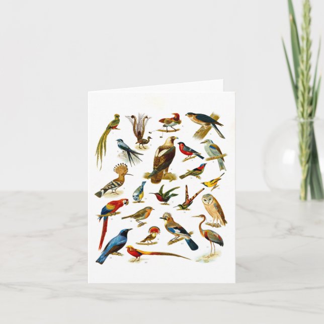 Tarjeta de Nota de Litografía de Aves Vintage (Anverso)