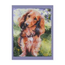 Tarjeta de nota de Long Haired Dachshund