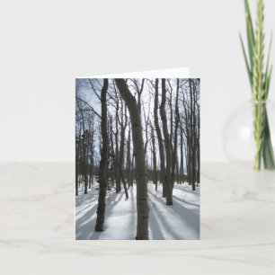Tarjeta de nota de los álamos tembloses Nevado
