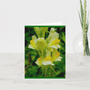 Tarjeta de nota de los huevos para manteca