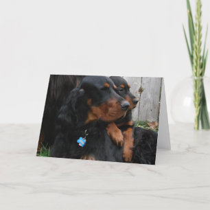 Tarjeta de nota de los Pals del organismo de