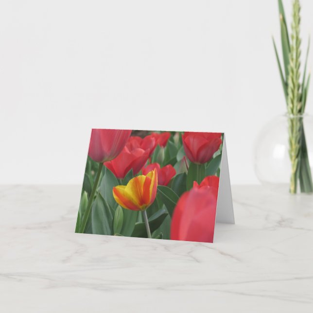 Tarjeta de nota de los tulipanes de la primavera (Anverso)
