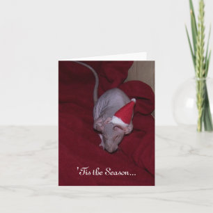 Tarjeta de nota de Lydia 1