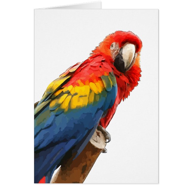 Tarjeta de nota de Macaw Scarlet (Frente)
