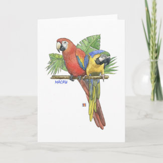 Tarjeta de nota de Macaws Tropical