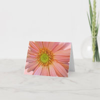 Tarjeta de nota de margarita africana rosa