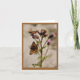 Tarjeta de nota de mariposa en planta