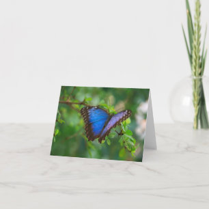 Tarjeta de nota de mariposa morfo azul