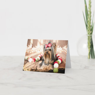 Tarjeta de nota de Navidades de porcino de Yorkshi