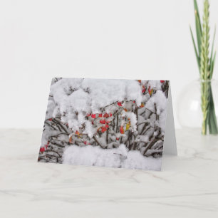 Tarjeta de nota de nieve fresca