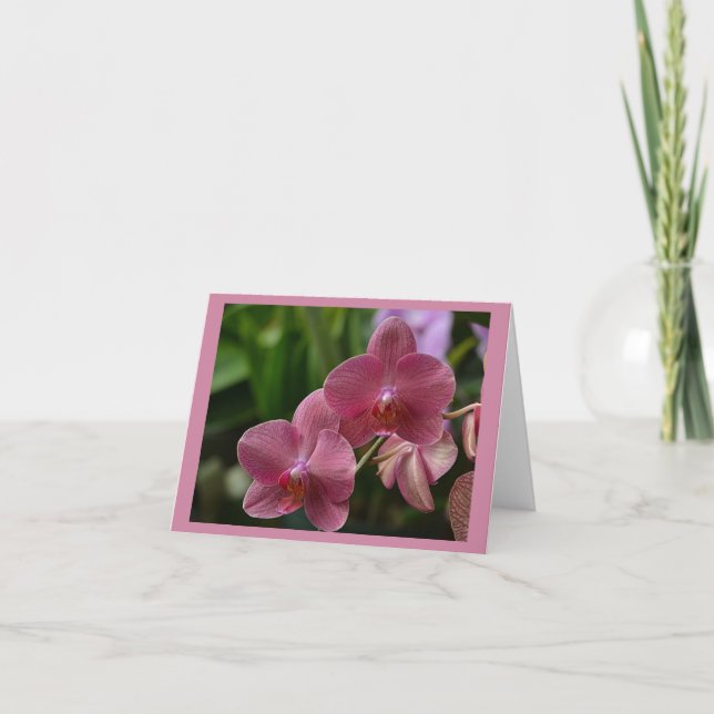 Tarjeta de nota de orquídea rosa (Anverso)