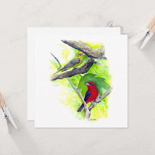 Tarjeta de nota de pareja de Piranga escarlata (Scarlet Tanager Couple In Tree Watercolor Square Blank Note Cards from Jenn Steffen Art)