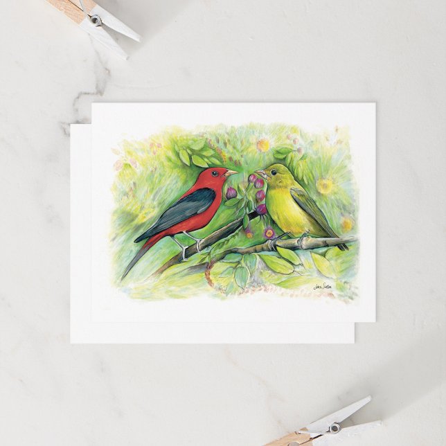 Tarjeta de nota de pareja de tanager escarlata her (Beautiful Scarlet Tanager Couple Note Card from Jenn's Emporium.)