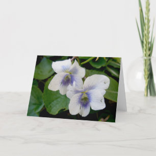 Tarjeta de nota de pares de violeta blanca