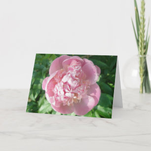 Tarjeta de nota de Peony Rosa